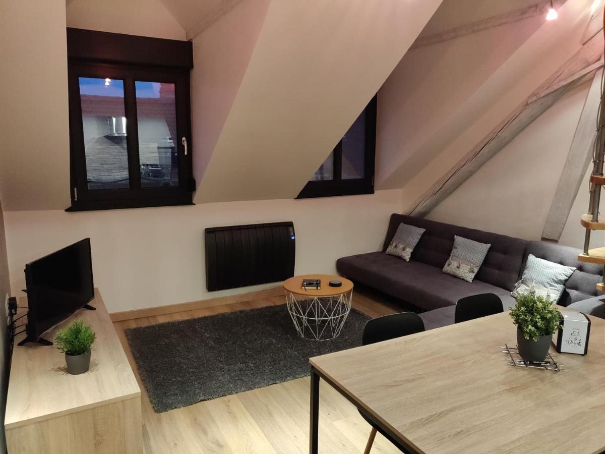 Ferienwohnung Le Business, Duplex Moderne Special Pro De Passage Sarreguemines Exterior foto